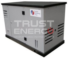 Газовый генератор REG GG16-230S с АВР В кожухе REG 999 trustenergo.ru